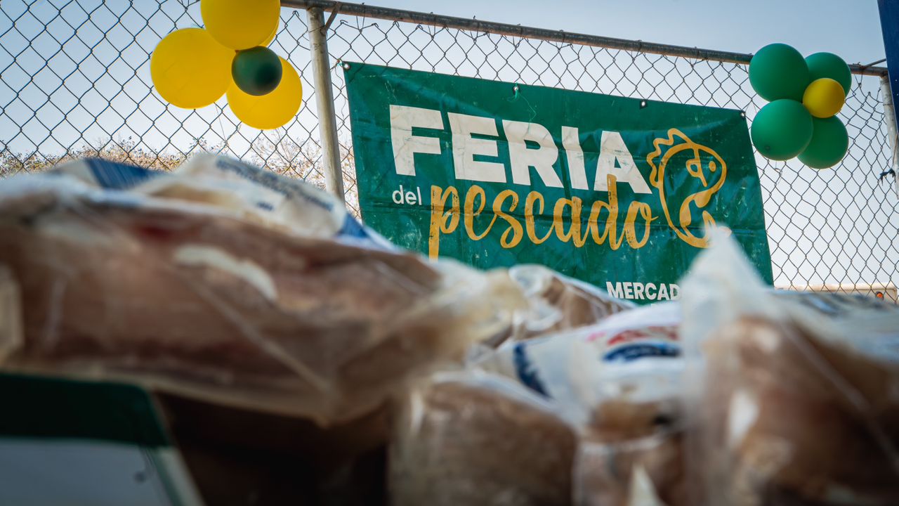 Feria del Pescado ofrece 10 especies del mar en diferentes puntos de Maracaibo (13)
