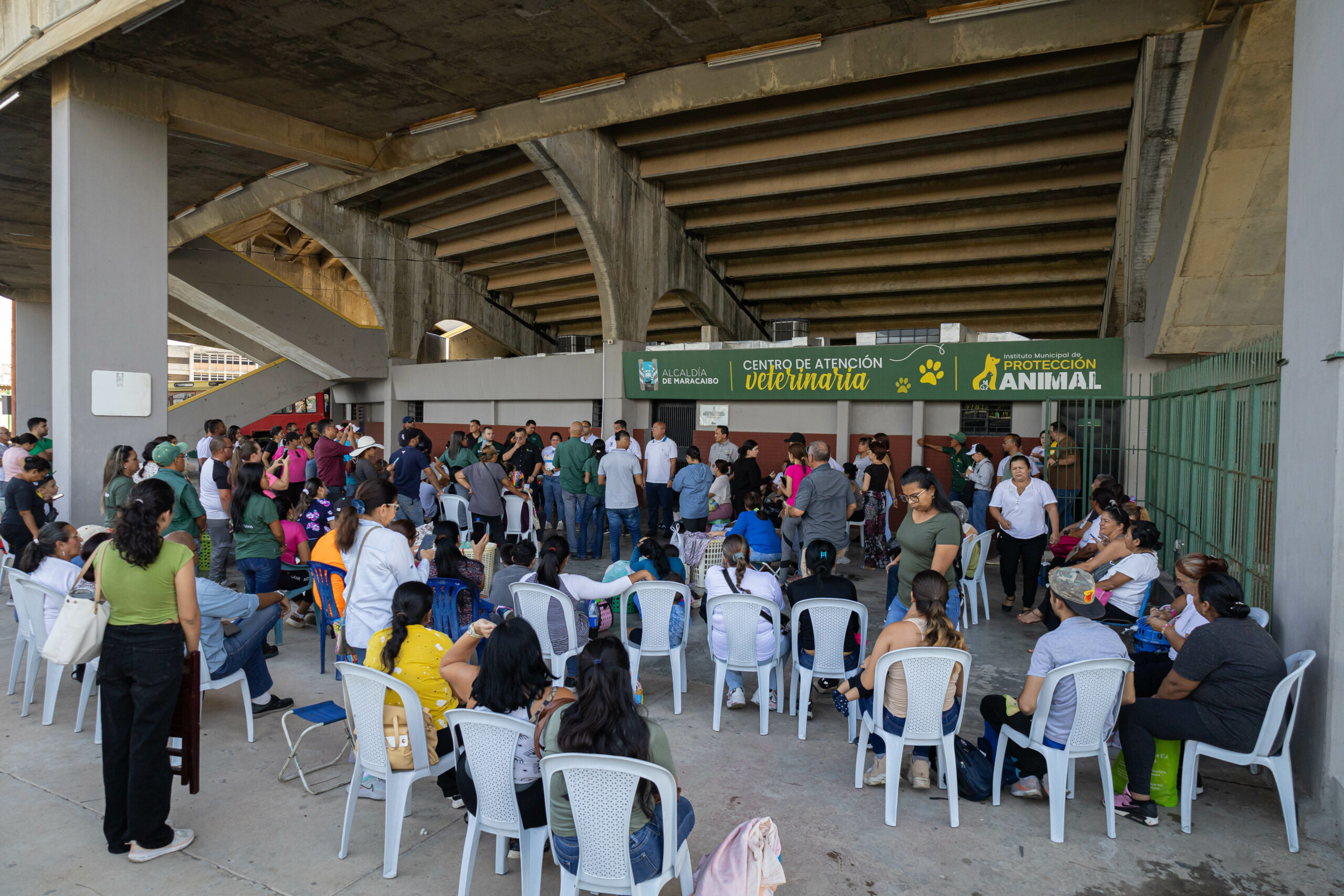 Alcaldía ofreció en 2024 atención permanente a las mascotas en el centro veterinario de Plaza para Todos