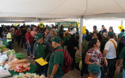 Servidores públicos de Maracaibo aprovechan productos con 40 % de subsidio en Feria Alimentaria y Hallacazo del Sol