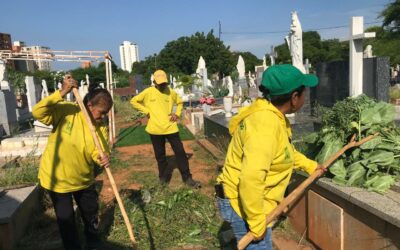 Alcaldía de Maracaibo avanza en enero con el mantenimiento de cementerios: Más de 54 mil metros atendidos