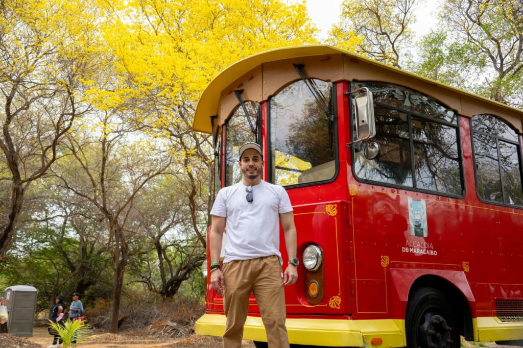 Tranvía de Maracaibo en la floración de curarires 2025