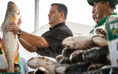 Feria del Pescado 2025 arranca en Luis Hurtado Higuera