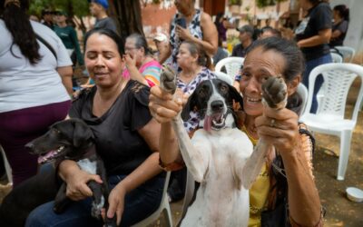 Alcaldía de Maracaibo brinda atención veterinaria gratuita en Francisco Eugenio Bustamante