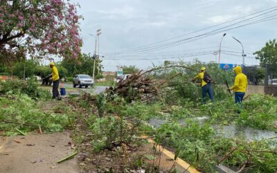 Protección Civil, Bomberos e IMA desplegados en Maracaibo por las lluvias