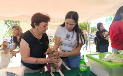 Atendidas más de 300 mascotas en la quinta jornada veterinaria gratuita de la Alcaldía de Maracaibo de 2025