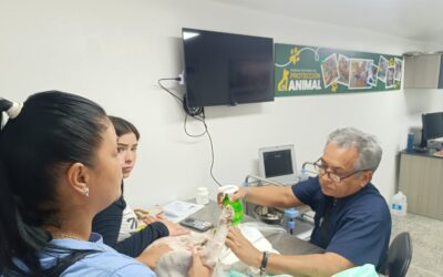 Unidad ecográfica para mascotas de Alcaldía de Maracaibo contabiliza más de 90 ecografías a dos meses de inaugurada